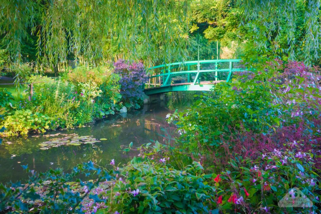 پل سبز رنگ در میان پوشش گیاهی و آبگیر باغ مونه (Monet's Garden)
