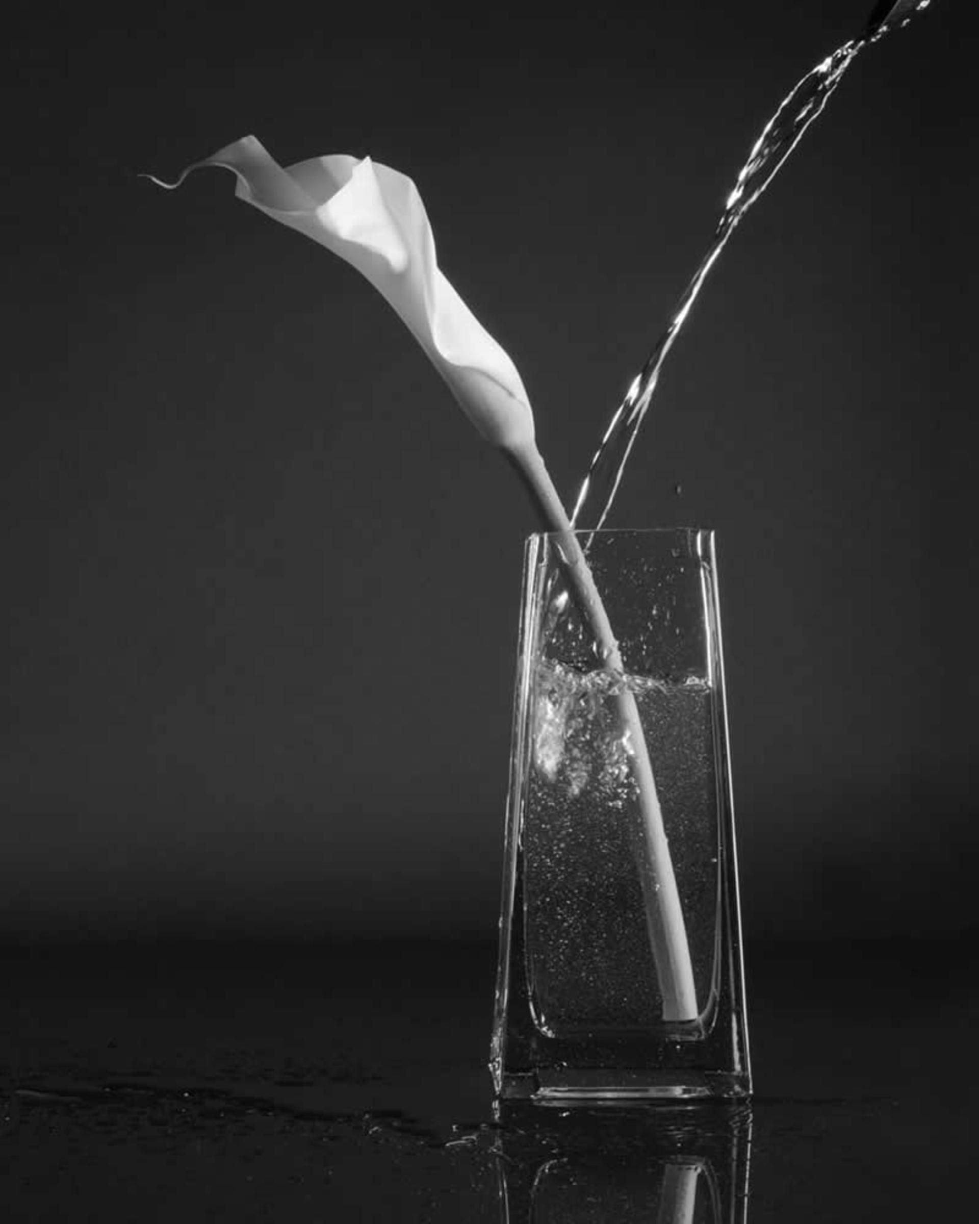 شاخه گل سفید در گلدان شیشه‌ای