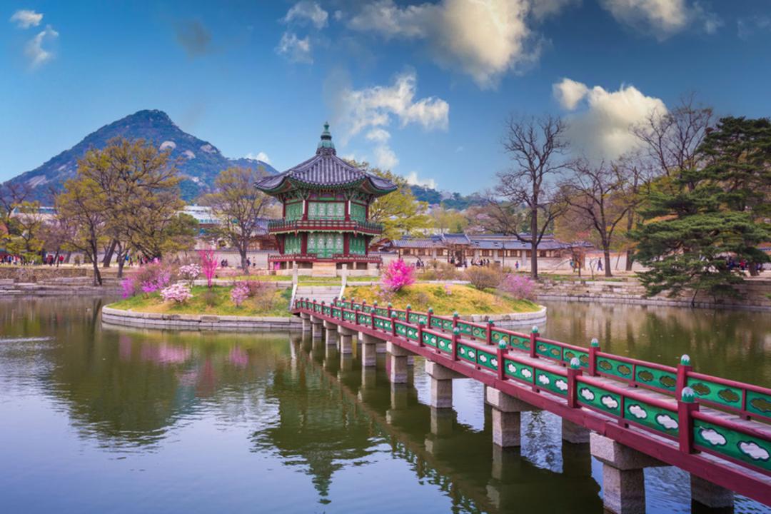 پاویون کایونگ‌گیون (Gyeonghoeru) در میان برکه و درختان شکوفه‌دار قصر گیونگ‌بوک‌گونگ