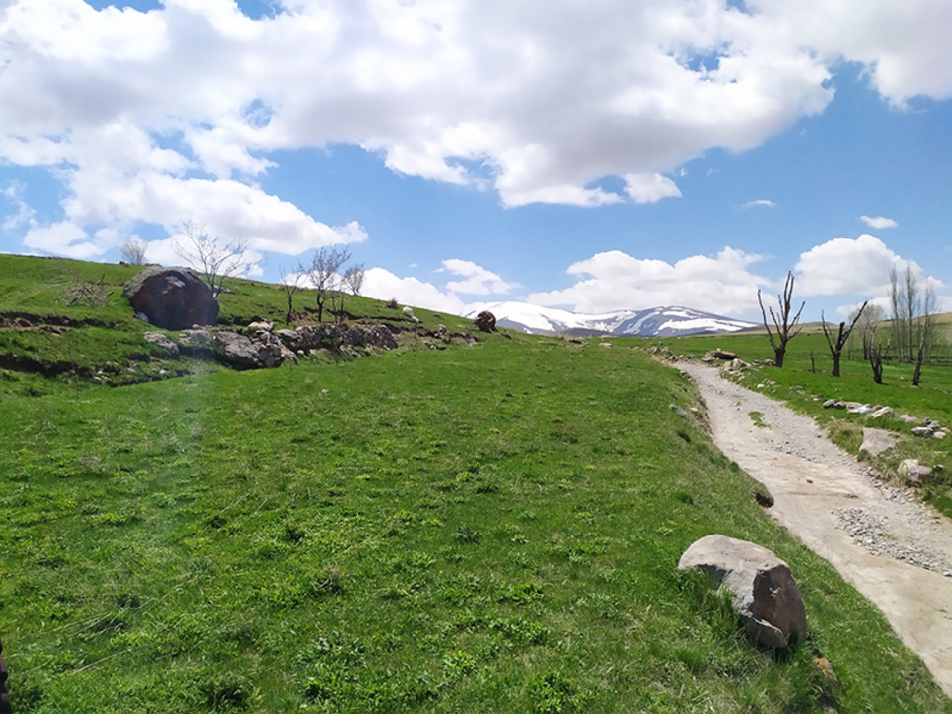 دشت سرسبز در منطقه حفاظت‌شده سهند