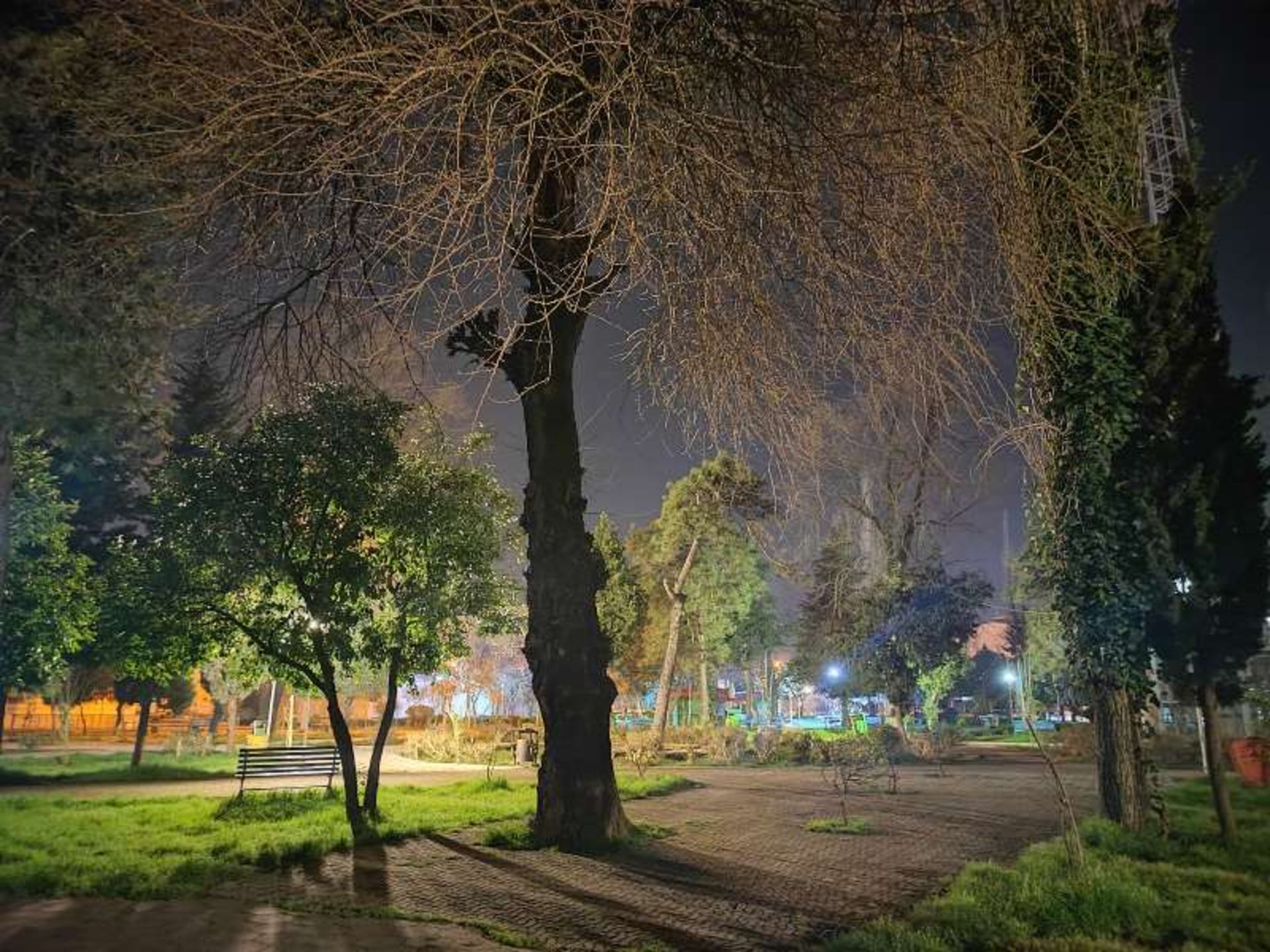 طبیعت سرسبز باغ ملی آستارا