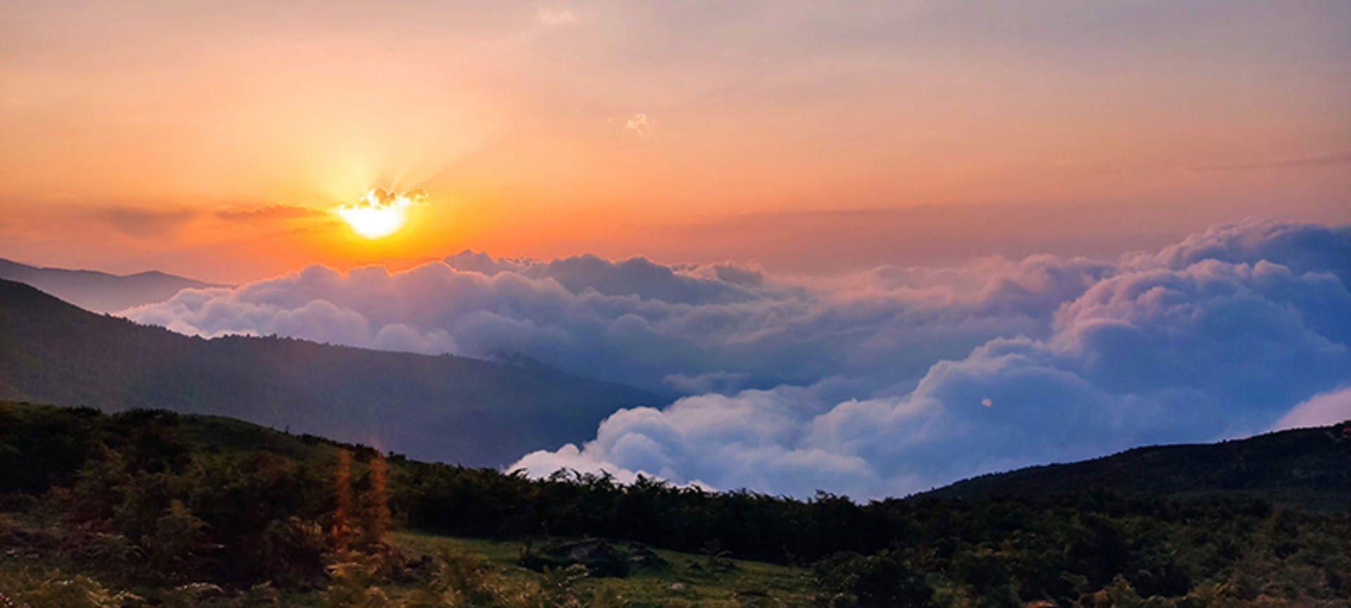 جنگل ابر فیلبند و منظره ای از غروب خورشید