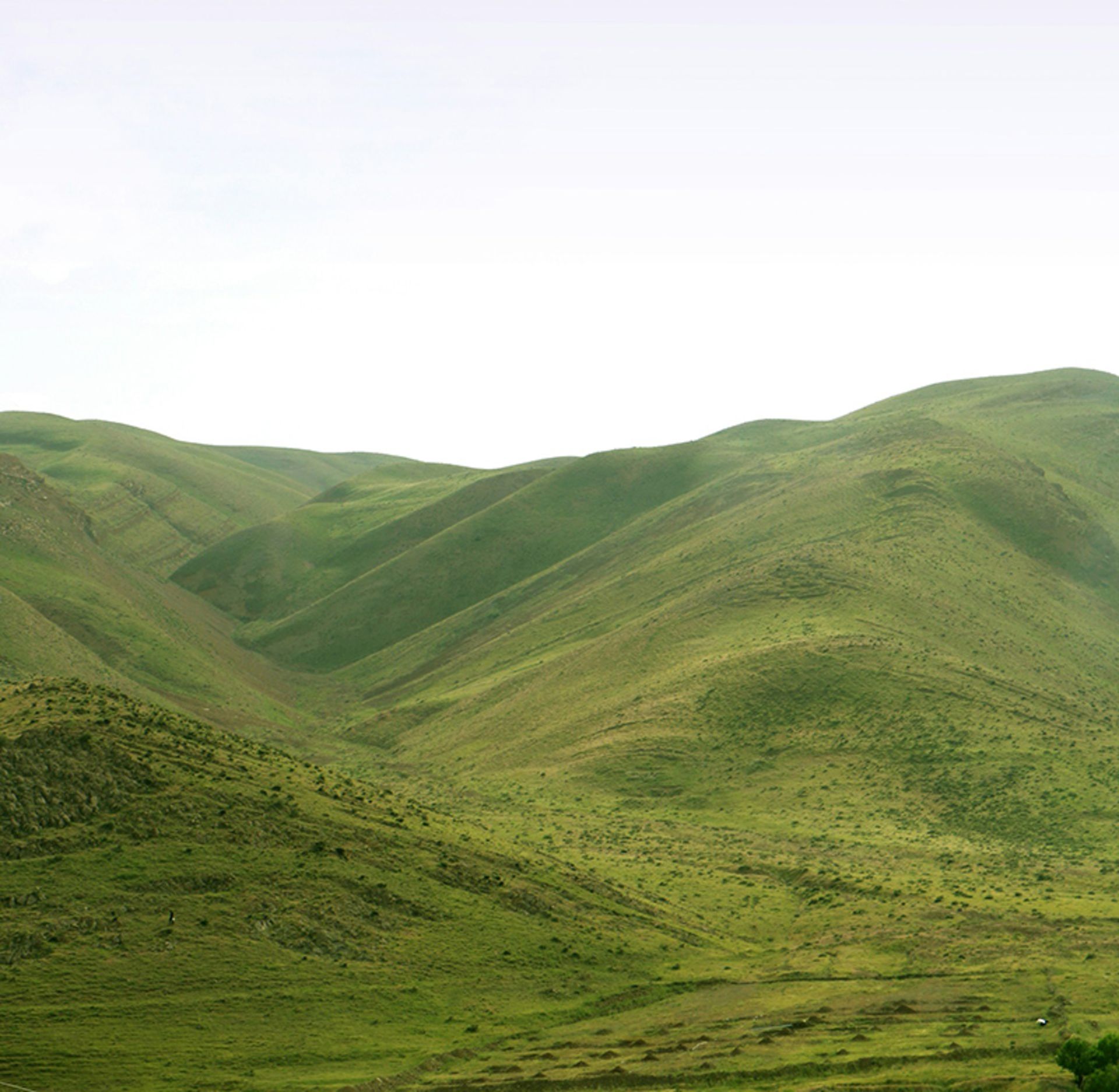 دشت های سرسبز اطراف کرج