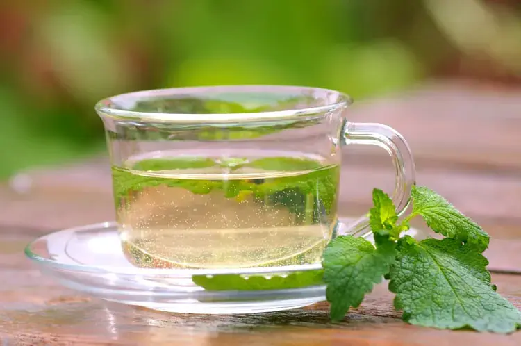 نوشیدنی گیاهی در فنجان شیشه‌ای همراه با برگ‌های نعنای تازه