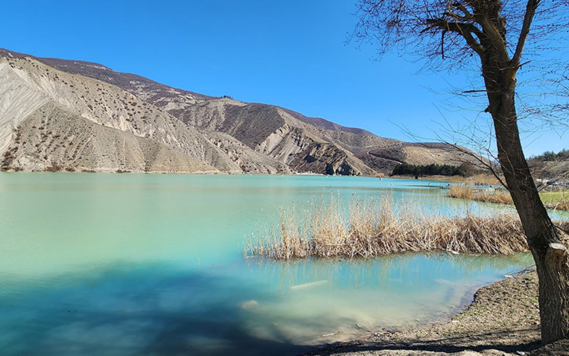 طبیعت دریاچه ولشت