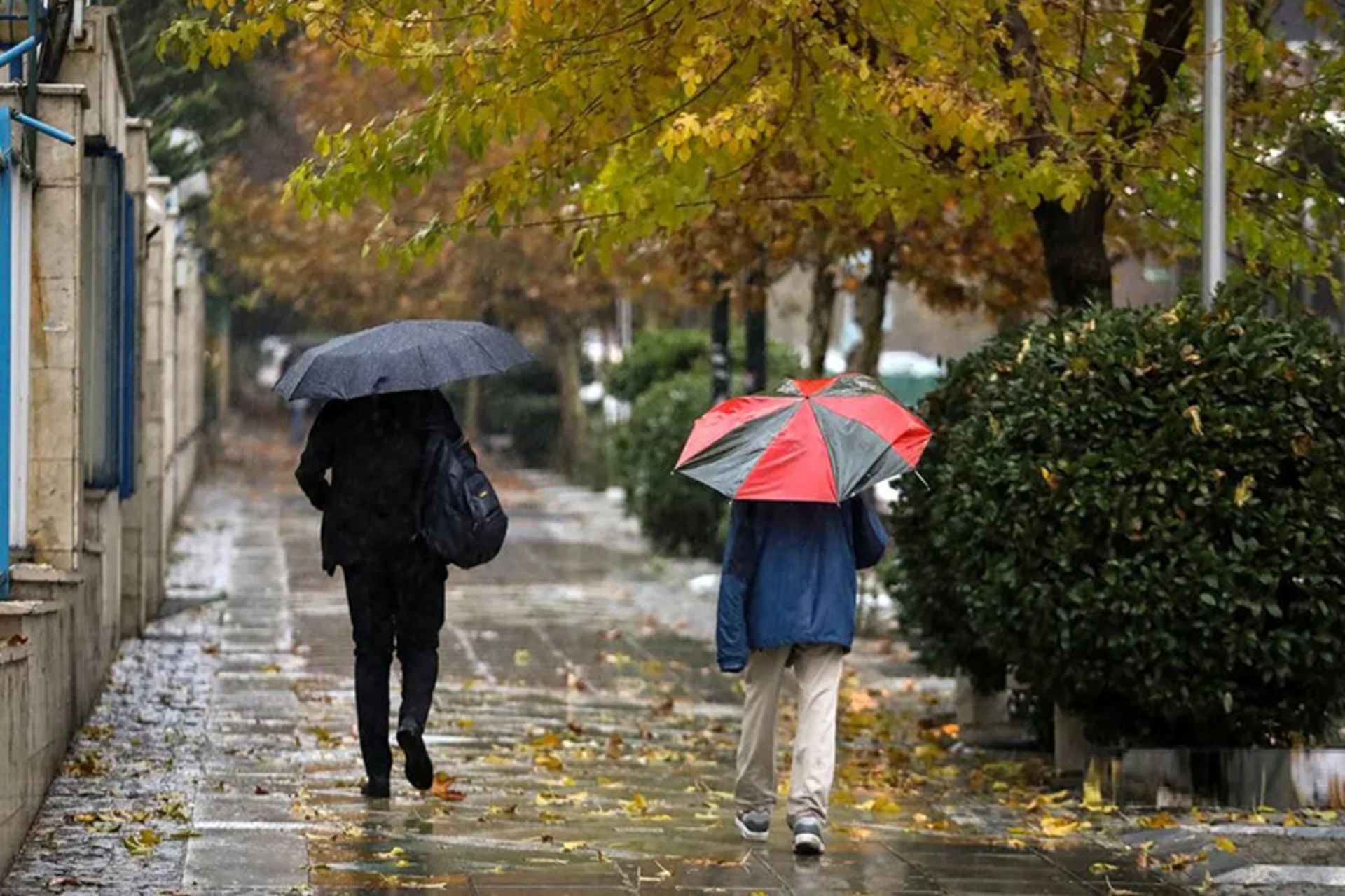 بارش باران پاییزی در تهران