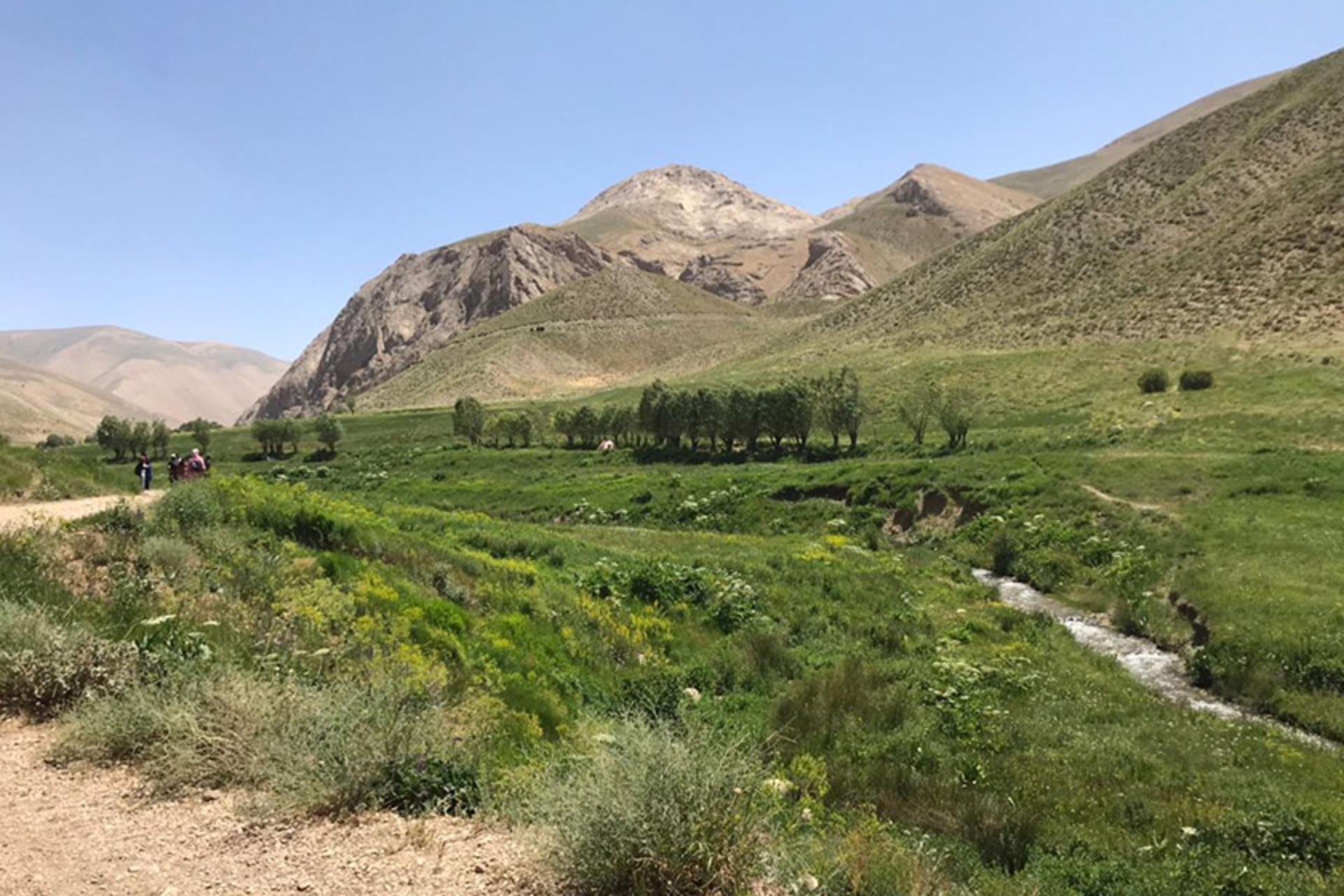 دشت سرسبز در مسیر تنگه واشی