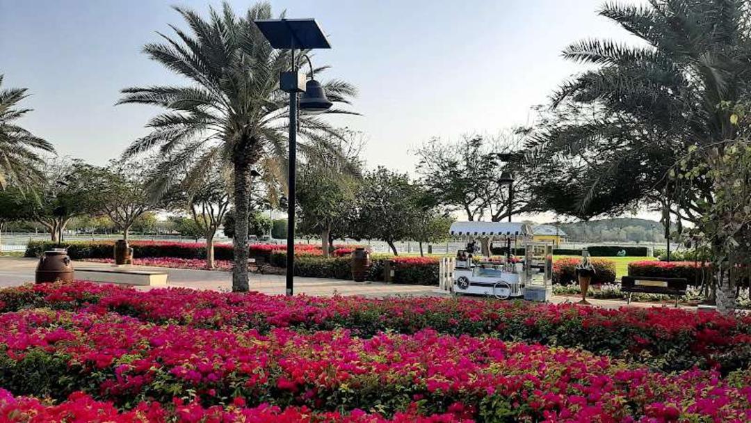 طبیعت پارک البرشا پوند دبی