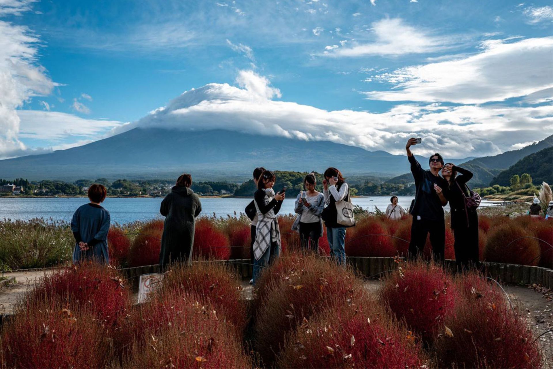 توریست‌ها در ژاپن مشغول گرفتن عکس هستند