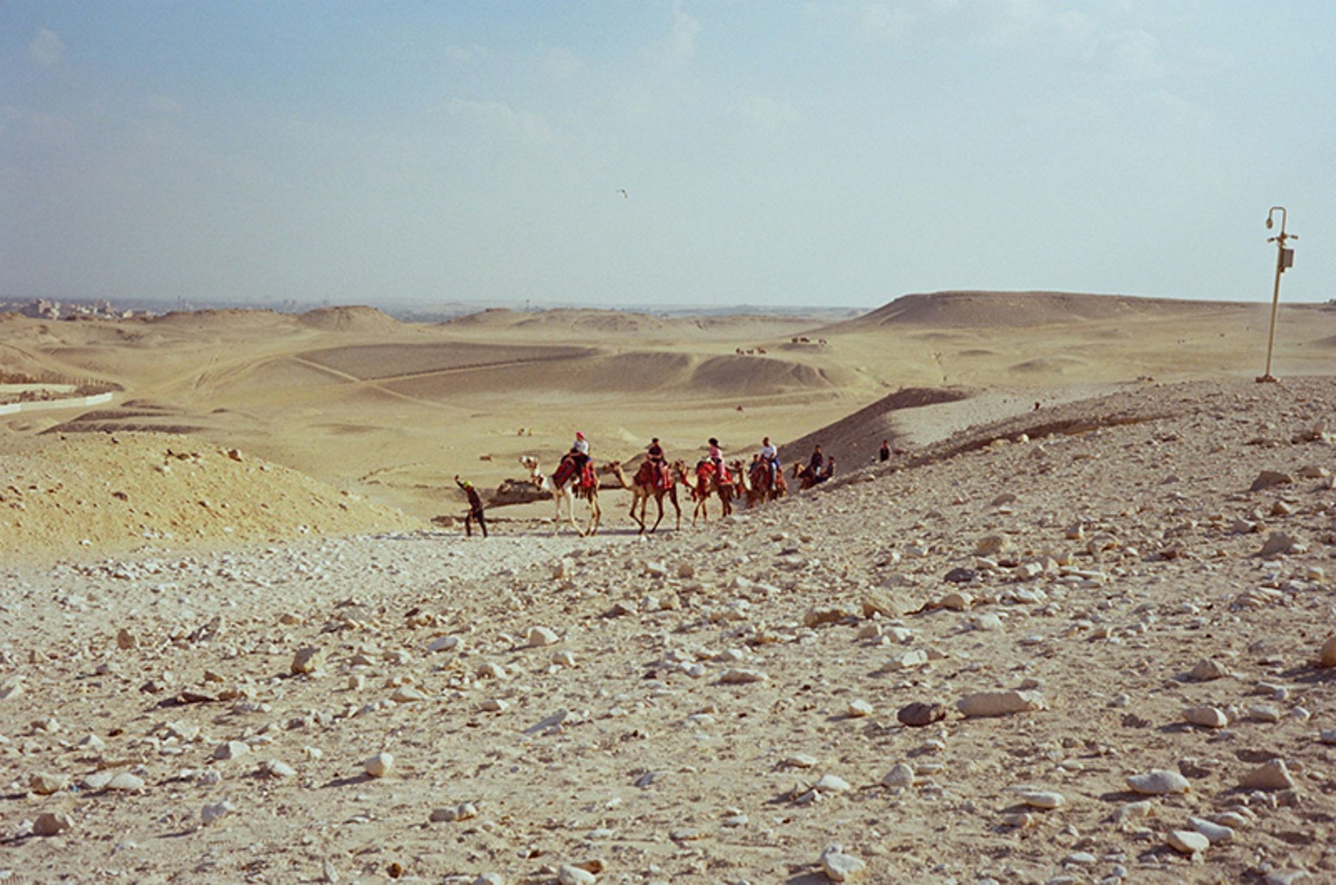 شترهای حامل گردشگران در بخشی از جاده ابریشم