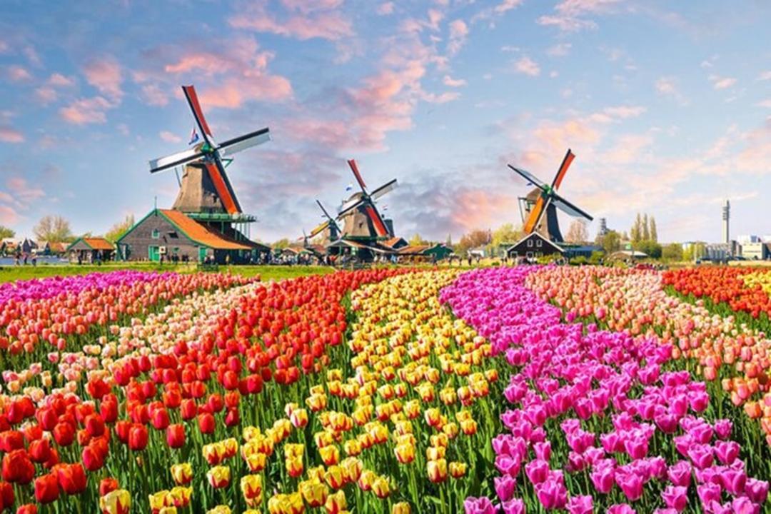 باغ‌های مشهور Keukenhof در هلند
