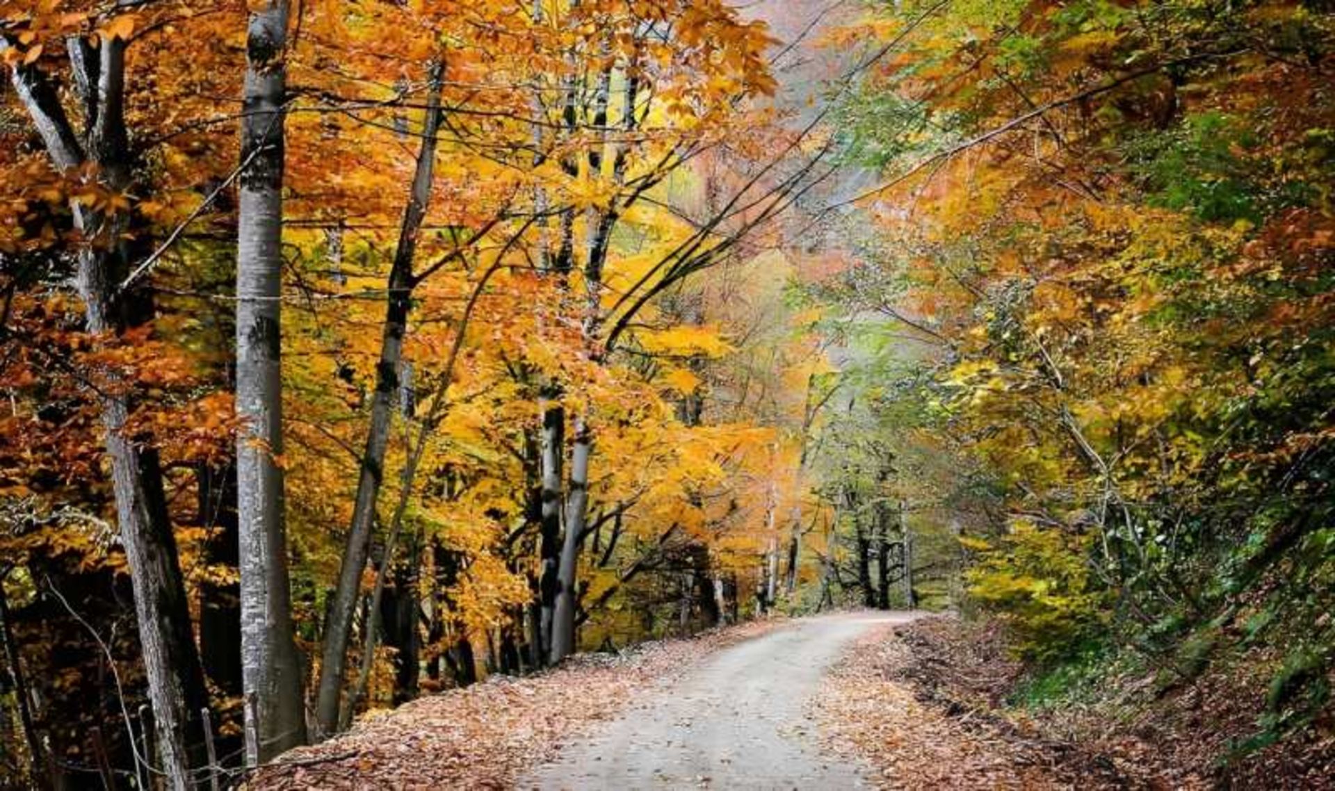 طبیعت پاییزی جاده اسالم به خلخال