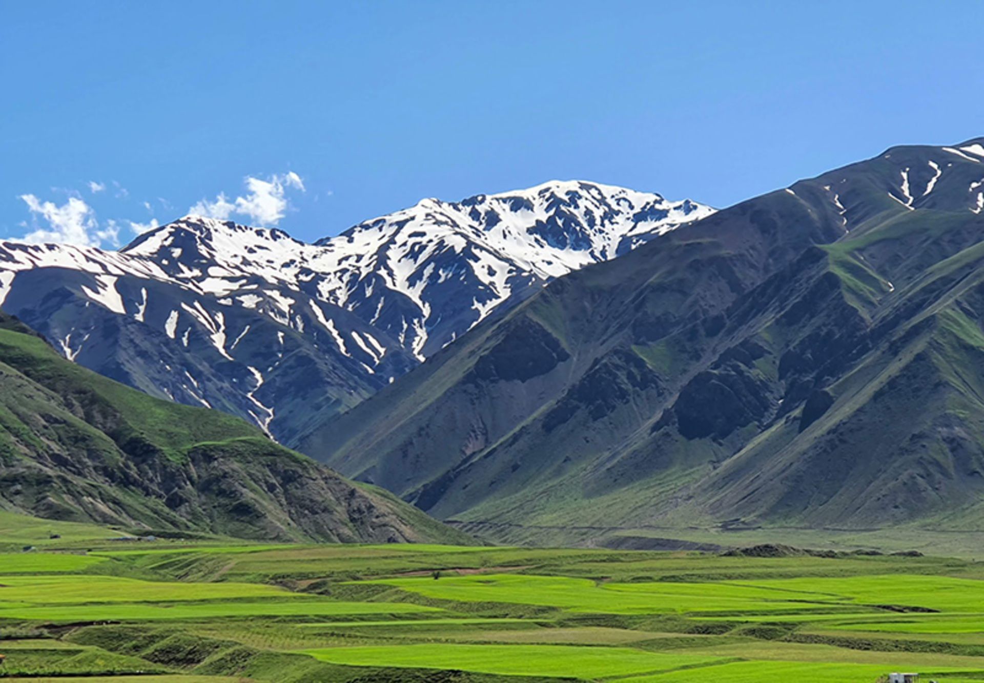 دشت سرسبز در منطقه حفاظت‌شده میشوداغ
