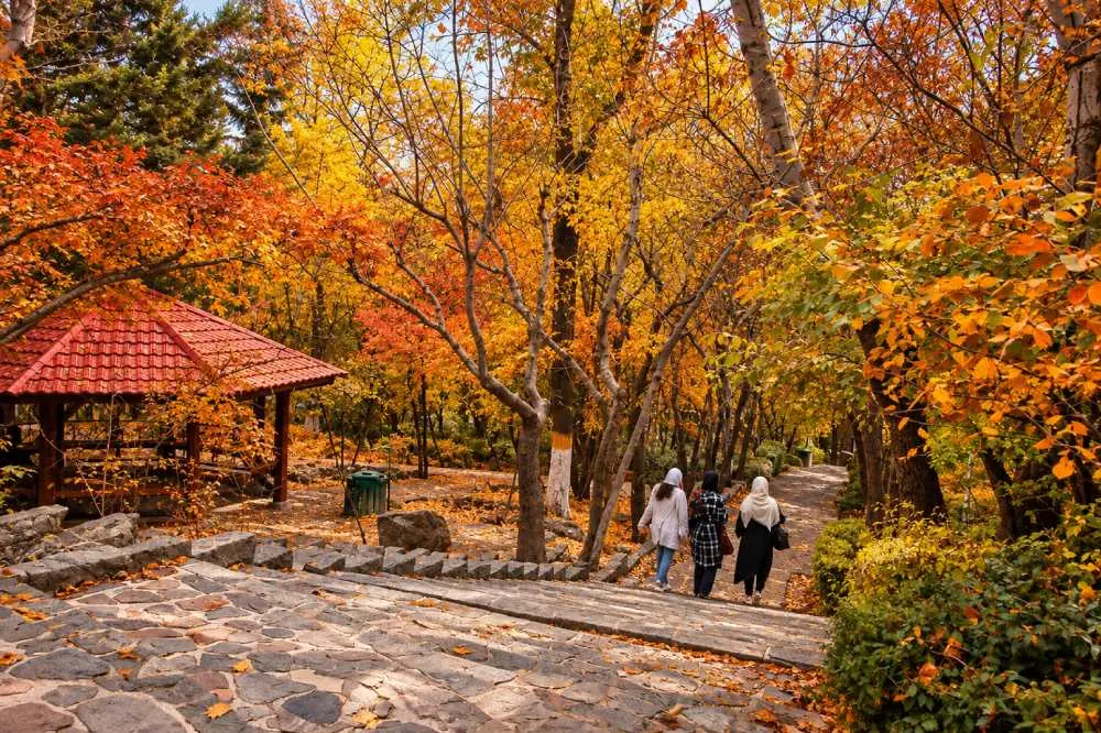 پارک جمشیدیه از بهترین لوکیشن های عکاسی پاییز در تهران