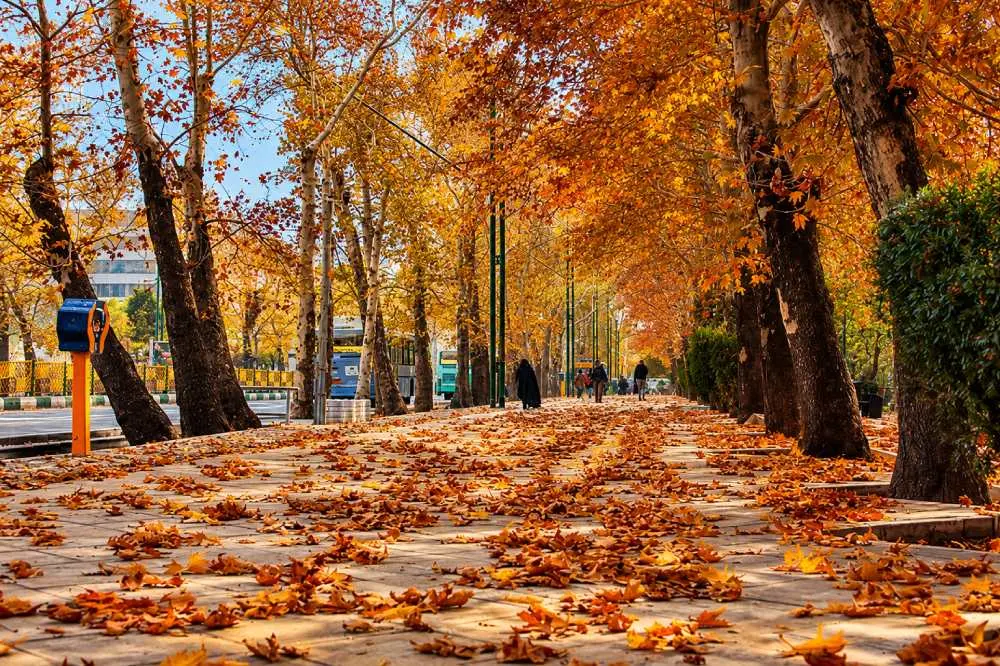 خیابان ولیعصر از بهترین لوکیشن های عکاسی پاییز در تهران