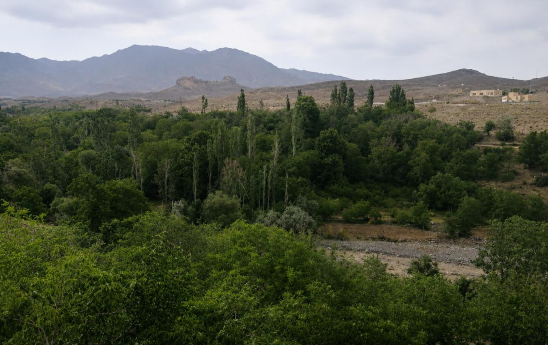 تصویری از رابر کرمان