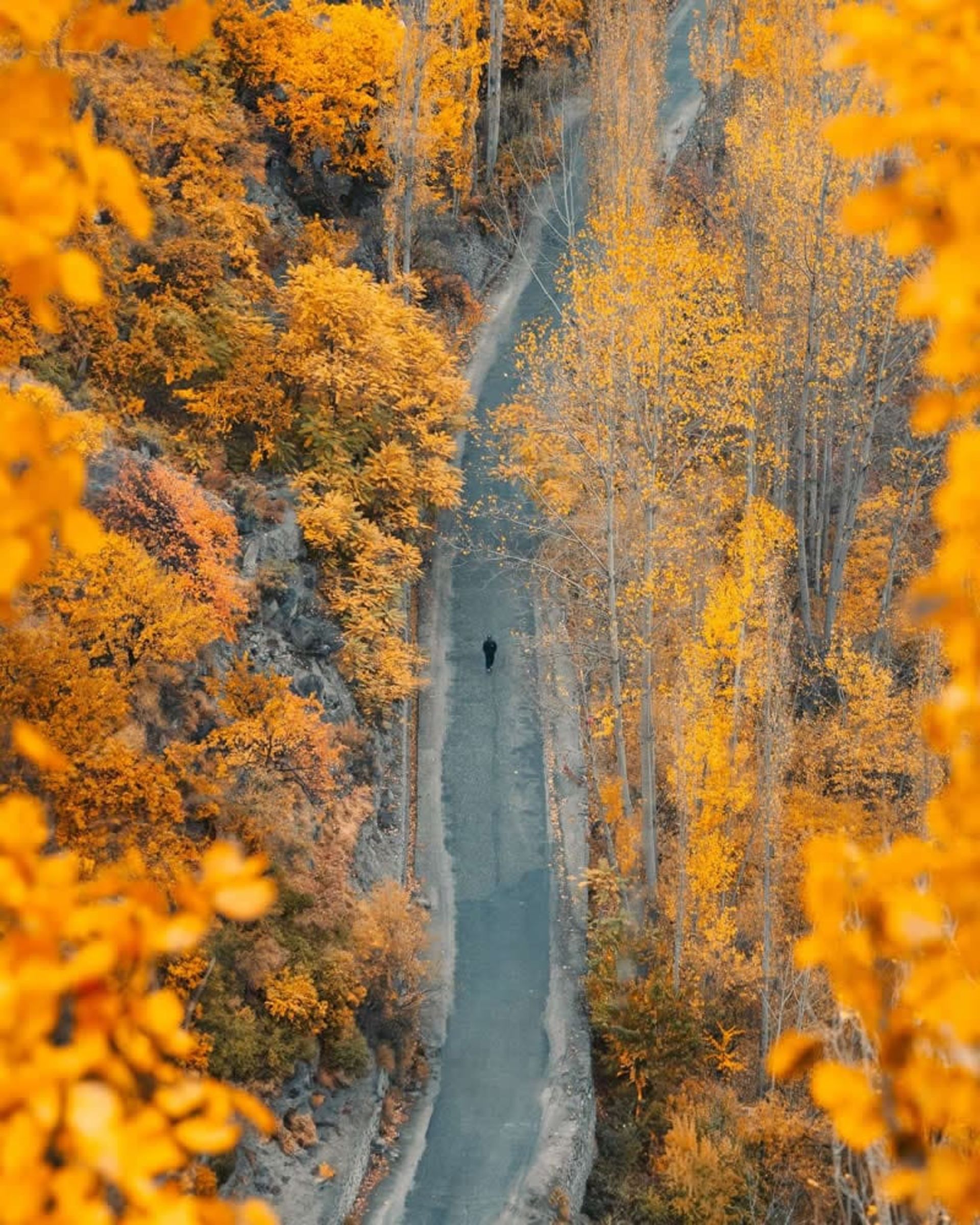 عکس هوایی از منظره پاییزی جاده
