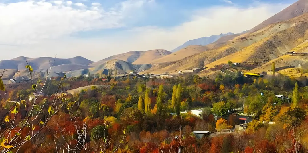 درختان رنگارنگ پاییزی در روستای سینک