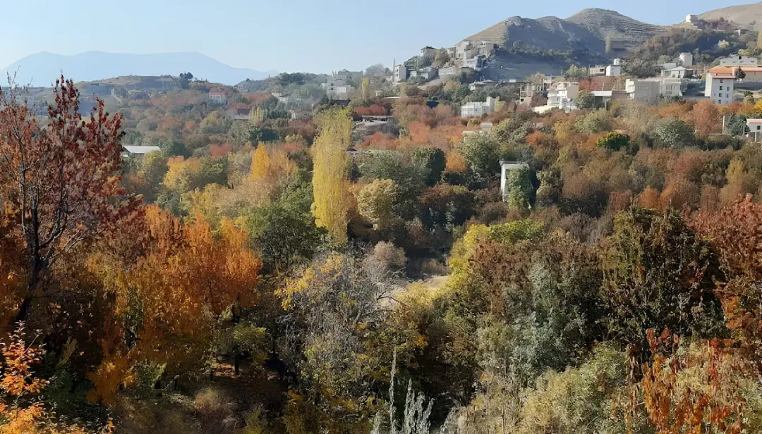 درختان رنگارنگ پاییزی در دامنه‌های کوهستانی روستای افجه
