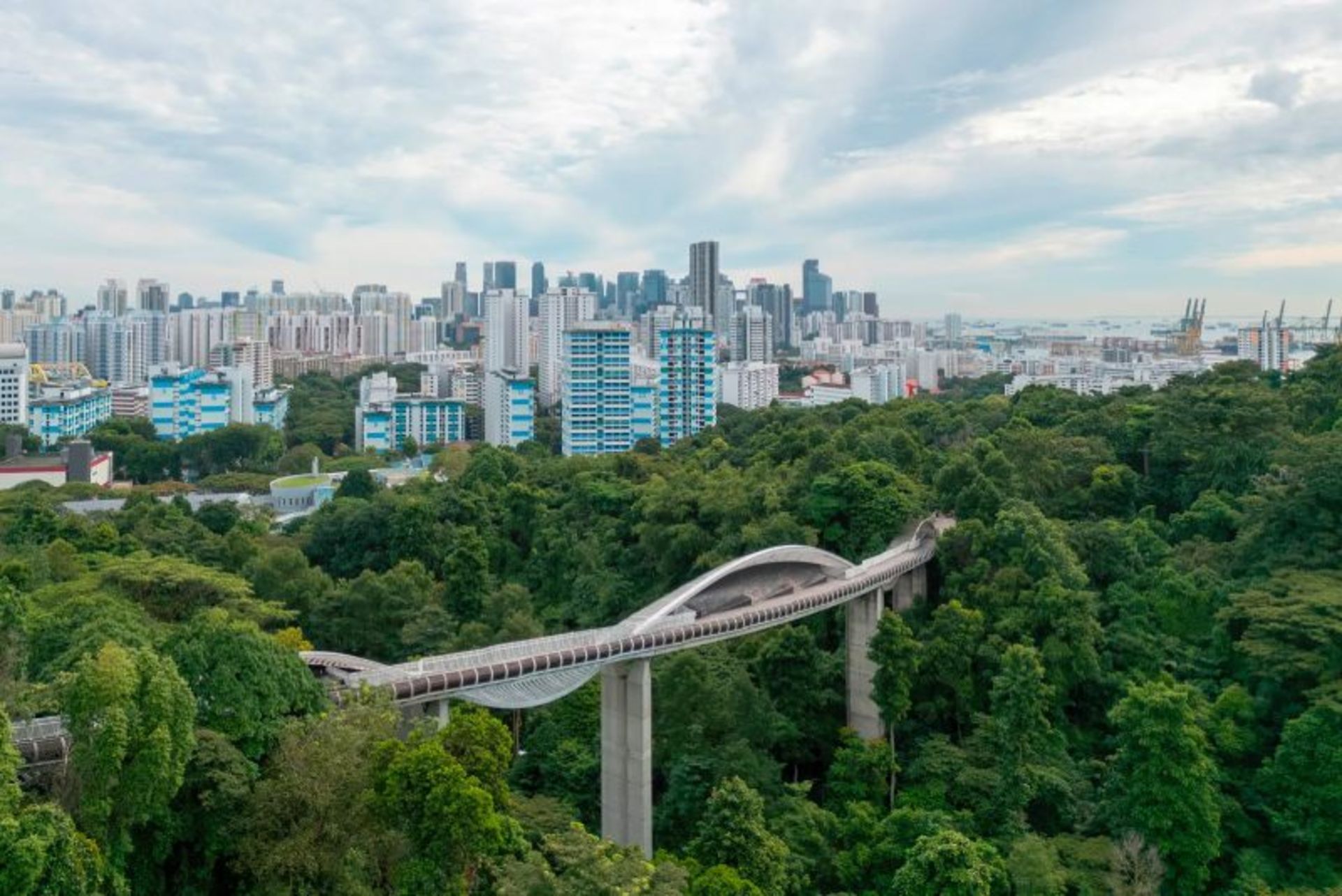 پل هندرسون ویوز در میان طبیعت سرسبز