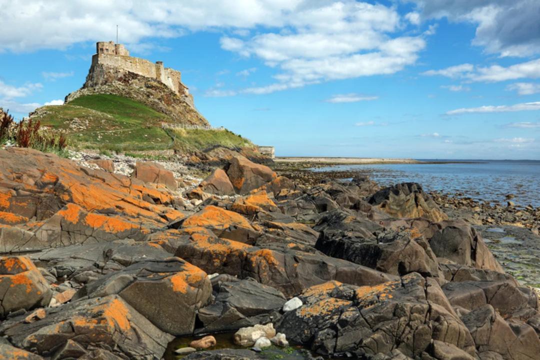 قلعه لیندیسفارن (Lindisfarne Castle) بر فراز تپه‌ای در کنار ساحل صخره‌ای