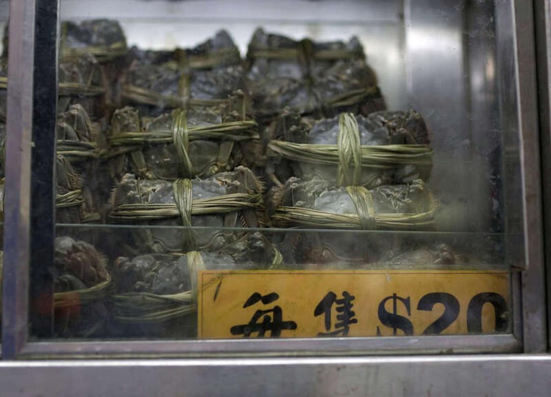خرچنگ‌های زنده (Live Crabs) بسته‌بندی شده در ویترین یک دستگاه فروش خودکار
