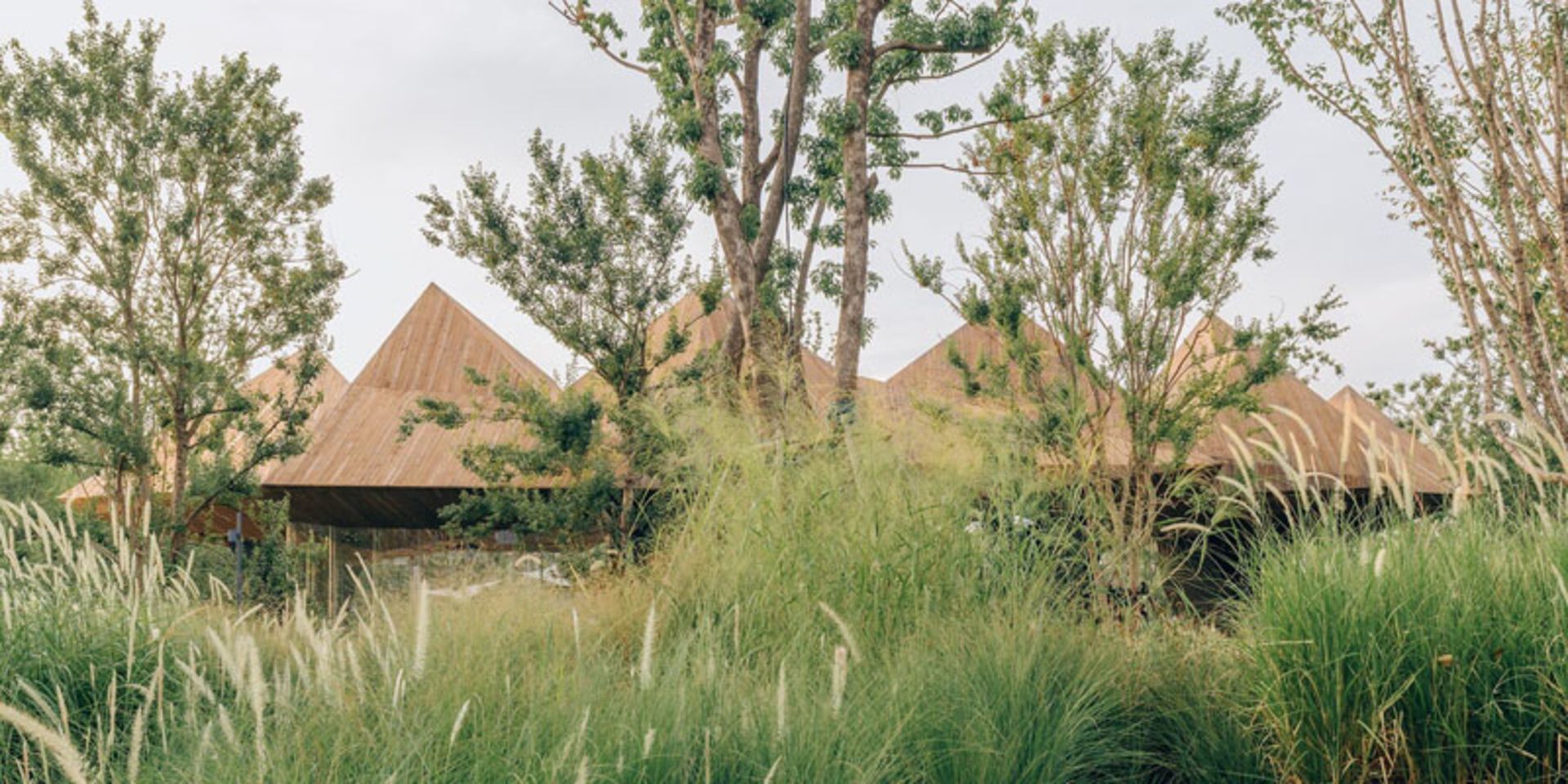 محوطه سرسبز رستوران چینی