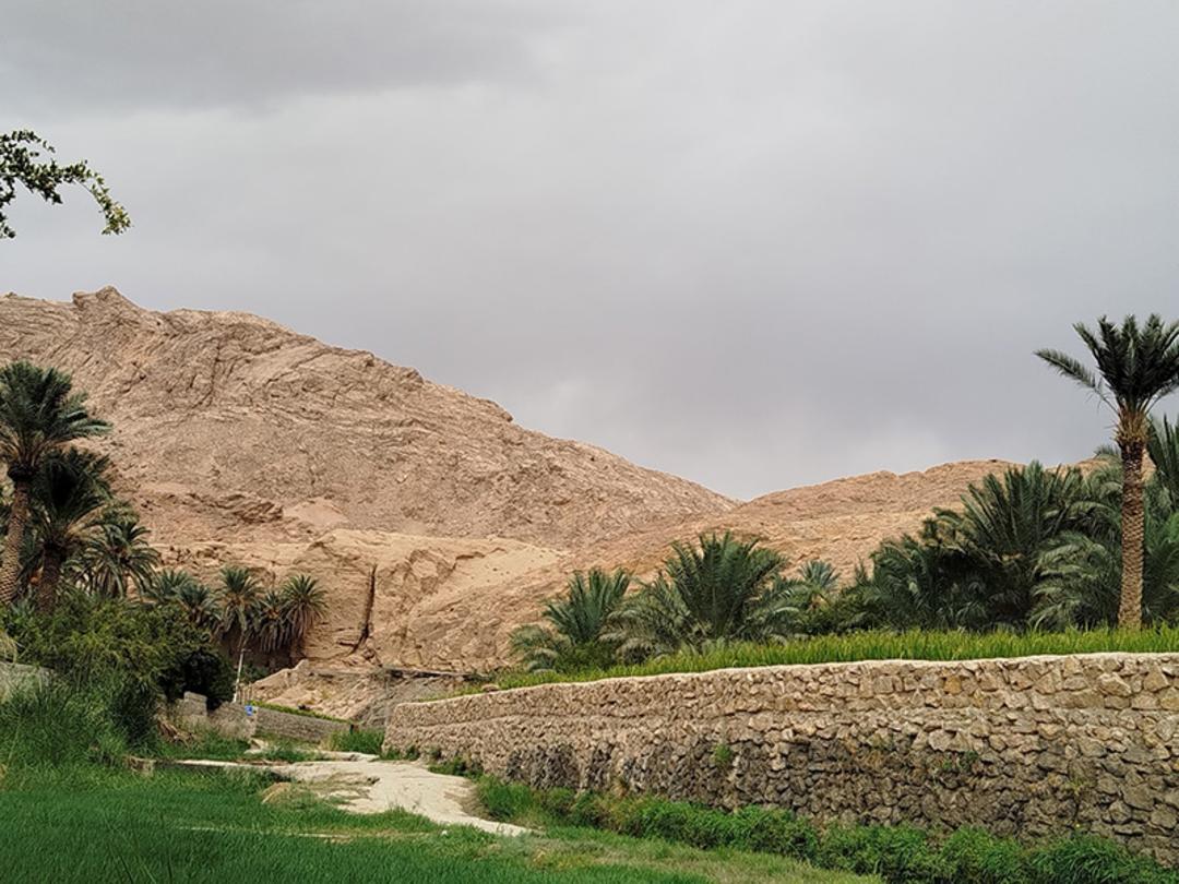باغ های سرسبز روستای ازمیغان