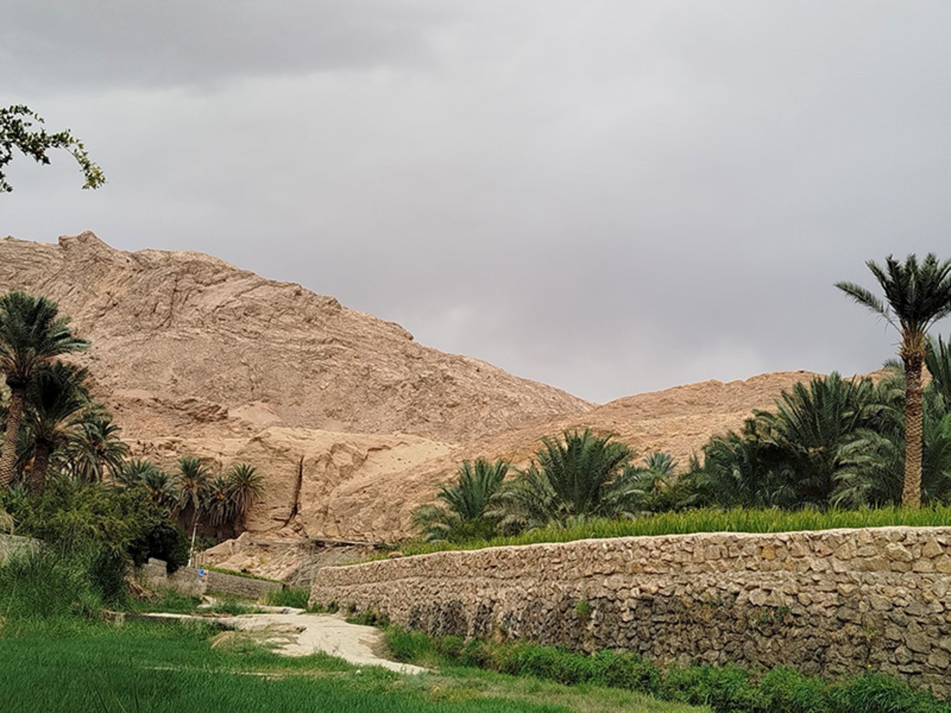 باغ های سرسبز روستای ازمیغان
