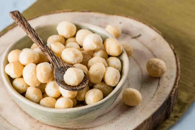 آجیل ماکادمیا (Macadamia) داخل یک کاسه کوچک با یک قاشق چوبی