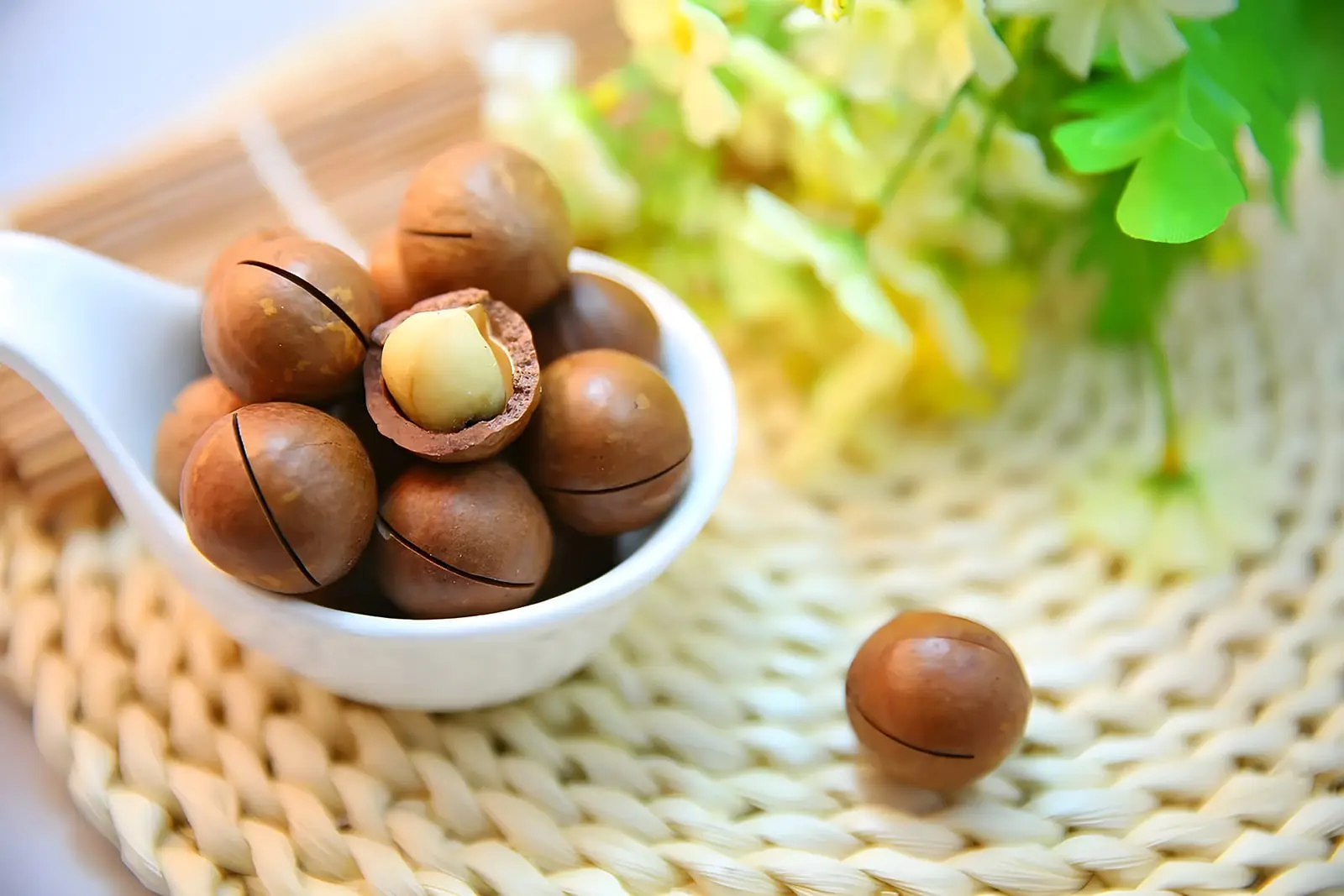آجیل ماکادمیا (Macadamia) در یک ظرف سفید روی حصیر