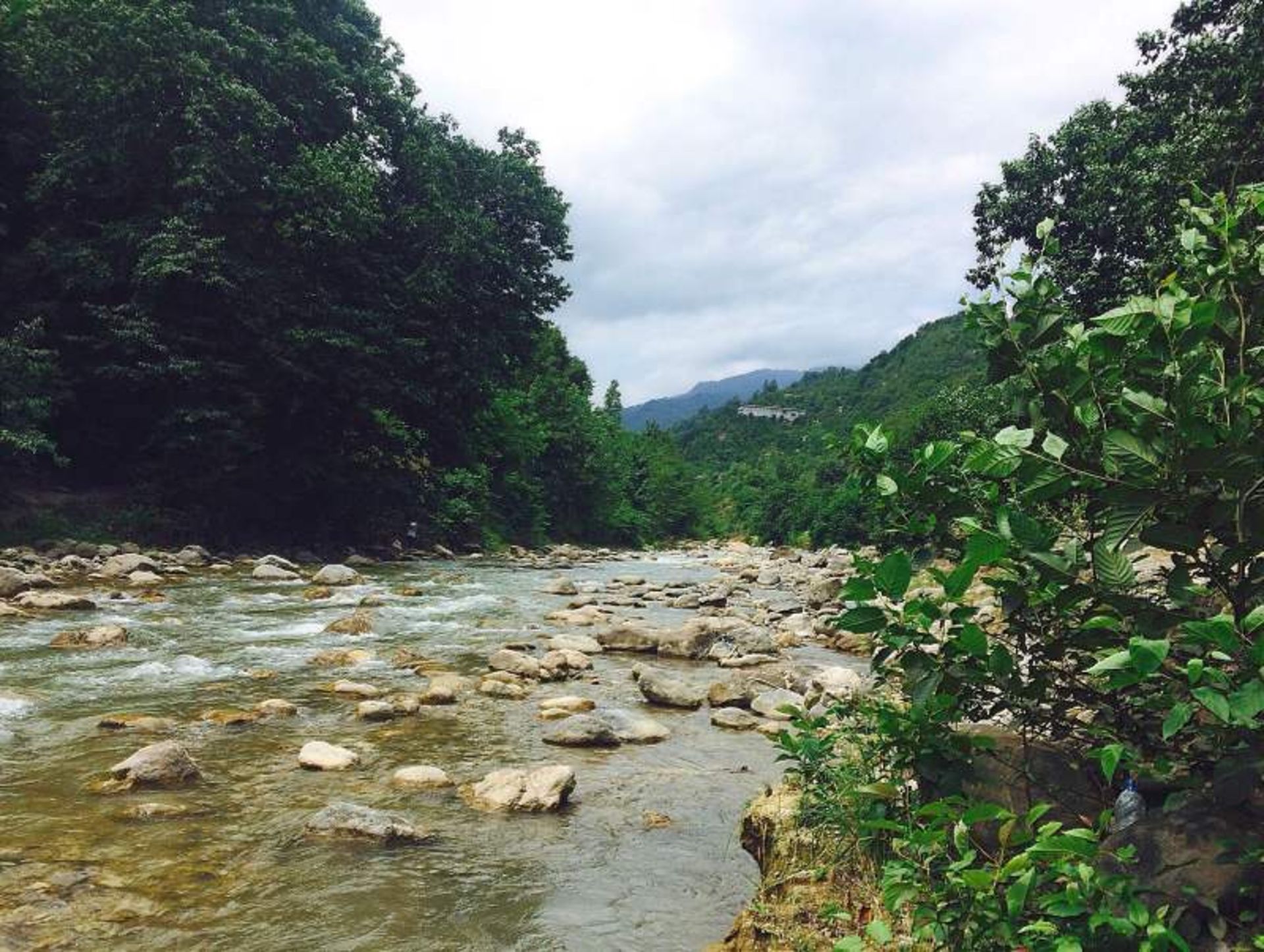رودخانه و طبیعت سرسبز جنگل دالخانی