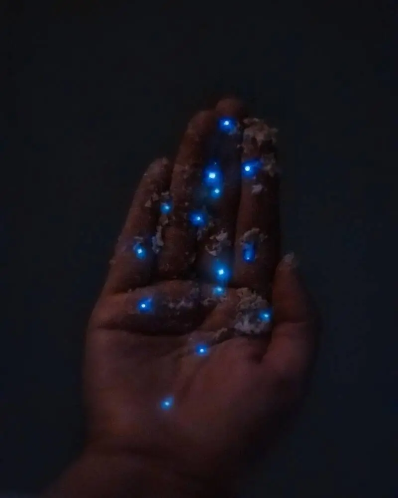 پدیده زیست‌تابی (Bioluminescence) در کف دست یک فرد در ساحل مالدیو
