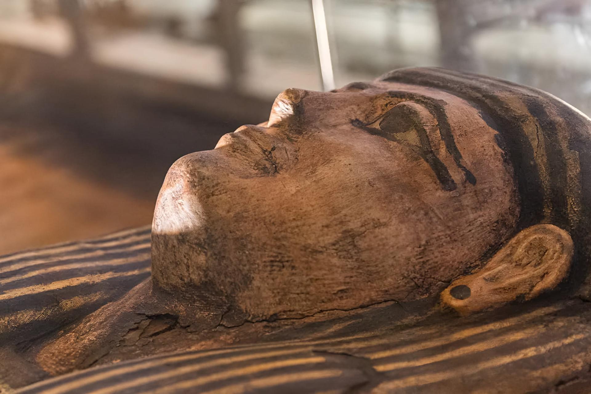مومیایی باستانی (Ancient Mummy) در ویترین نمایشگاه موزه منچستر