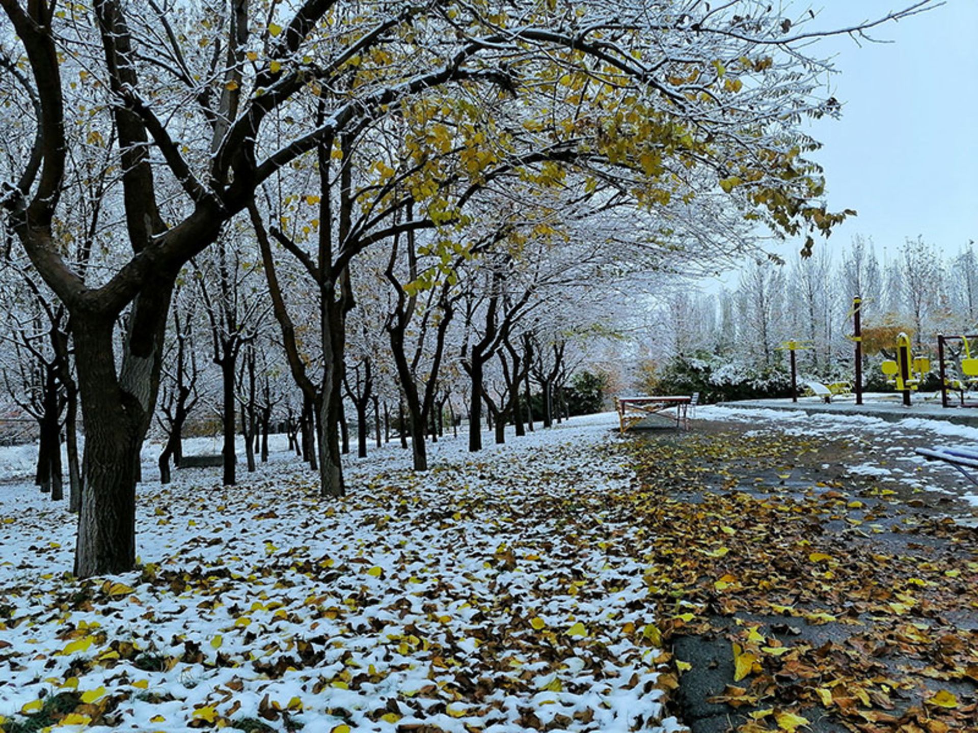 بارش برف در کرج