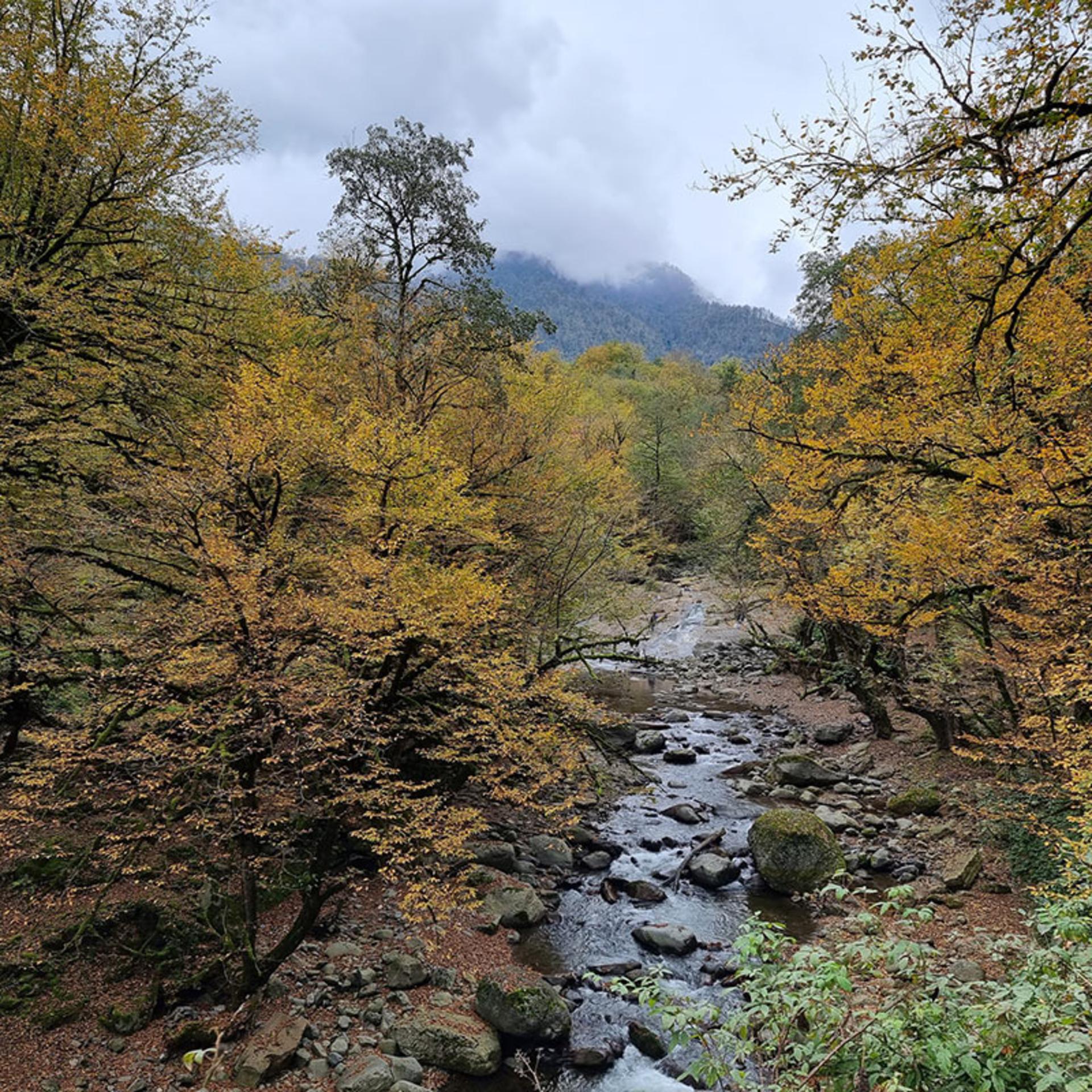 منظره پاییزی زیبا در دهستان سیاهکلرود