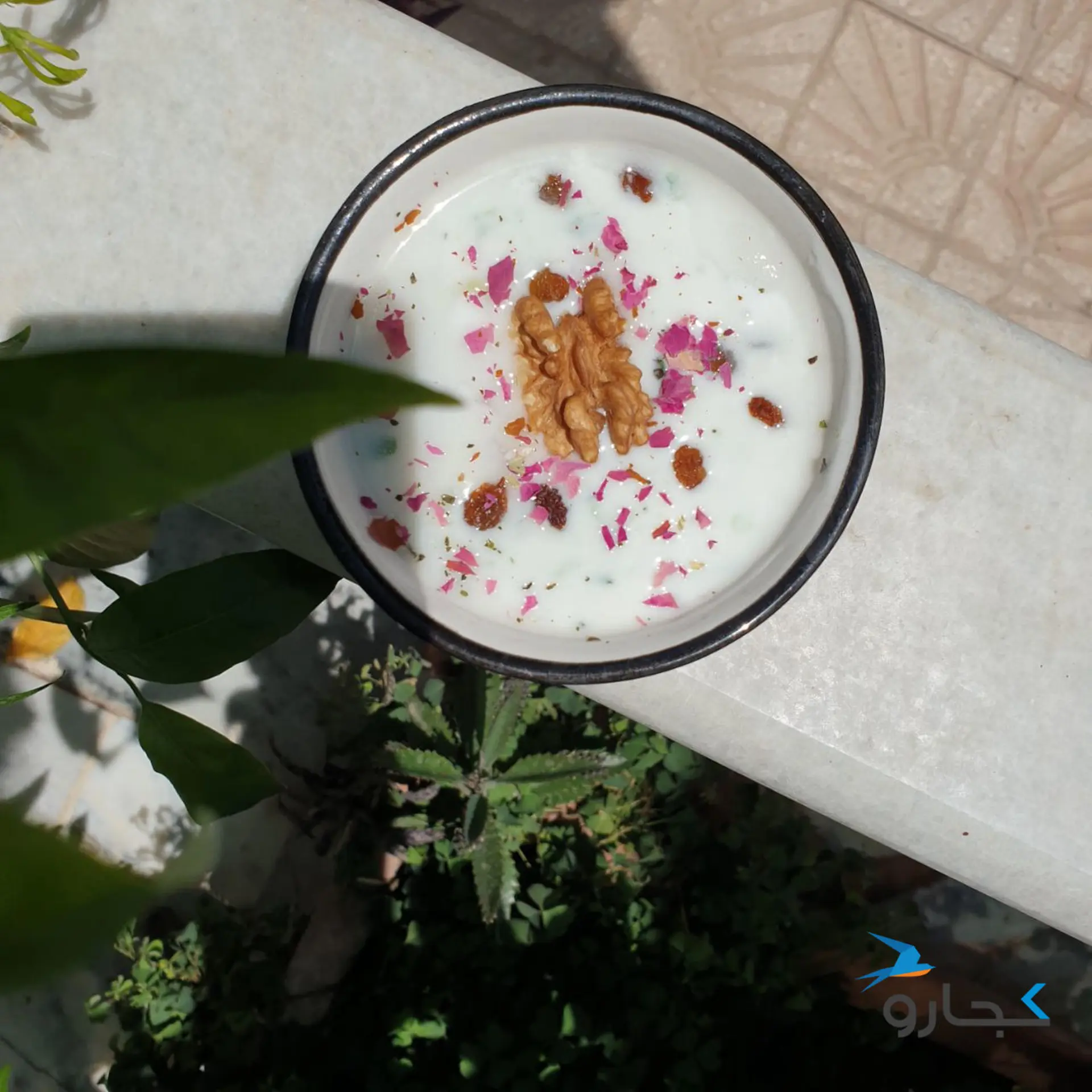 کاسه آب دوغ خیار با تزئین گردو و گل سرخ و کشمش روی نرده حیاط و گیاهان