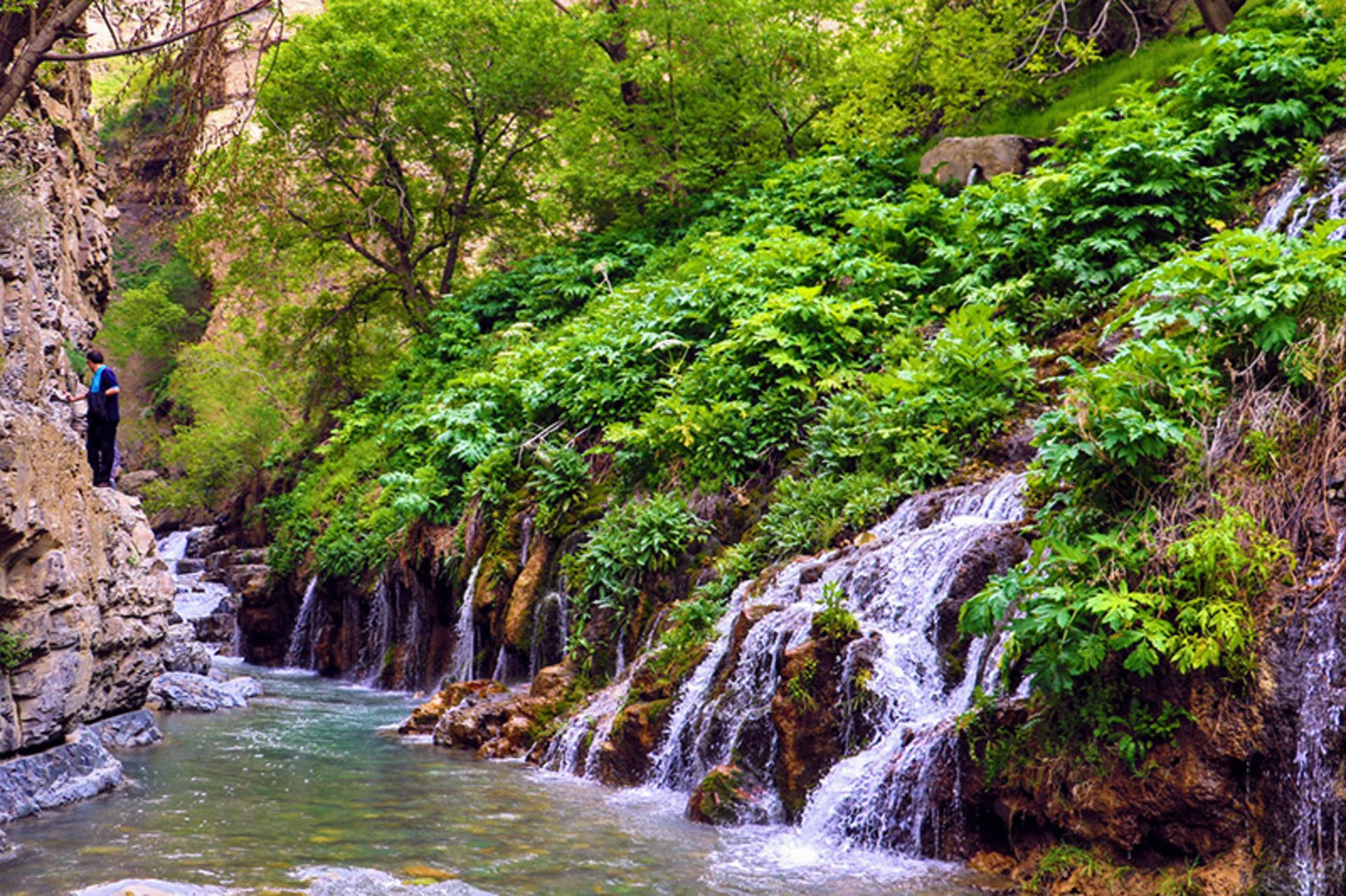 طبیعت سرسبز اطراف آبشار هفت چشمه