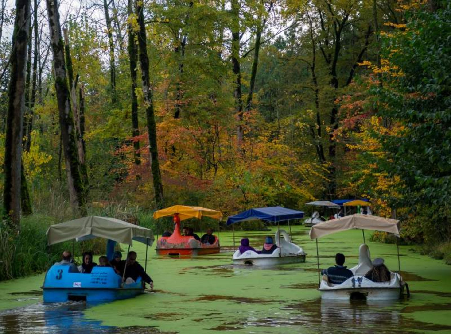 طبیعت پاییزی دریاچه سراوان