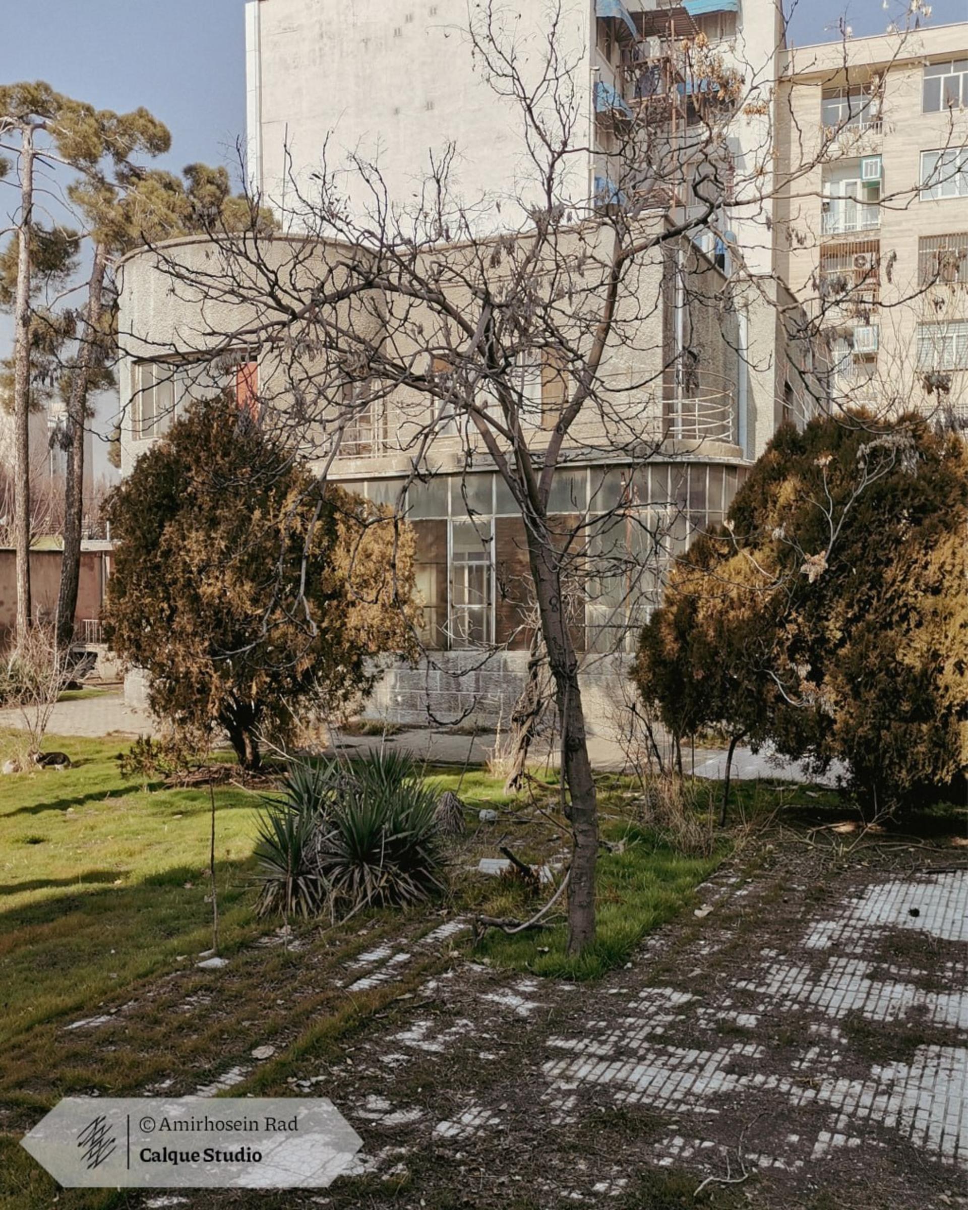 ساختمان مدرن و قدیمی در کوچه ارفع تهران با نمای بتنی و پنجرههای بزرگ