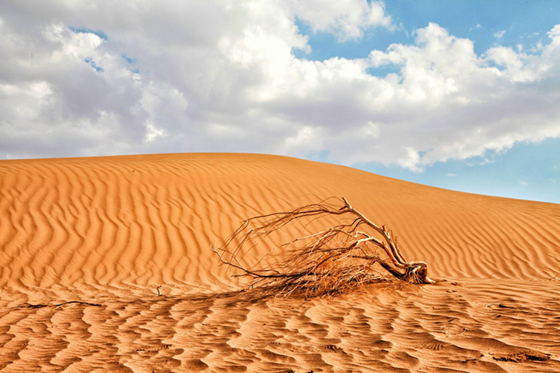 رمل های سنی در کویر مصر 