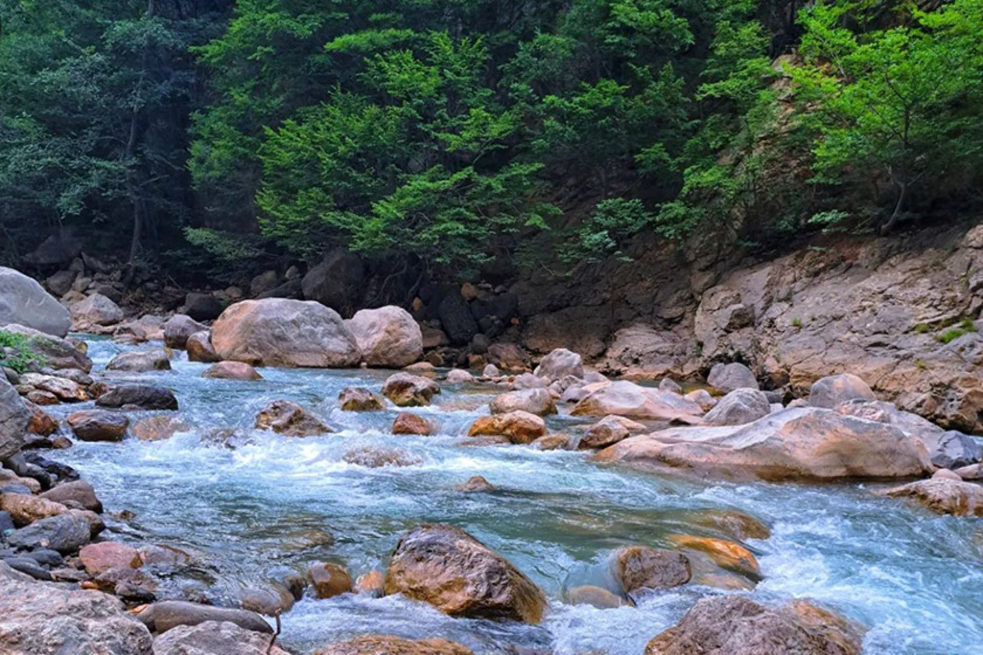 رودخانه میان جنگل در ییلاق اشکورات