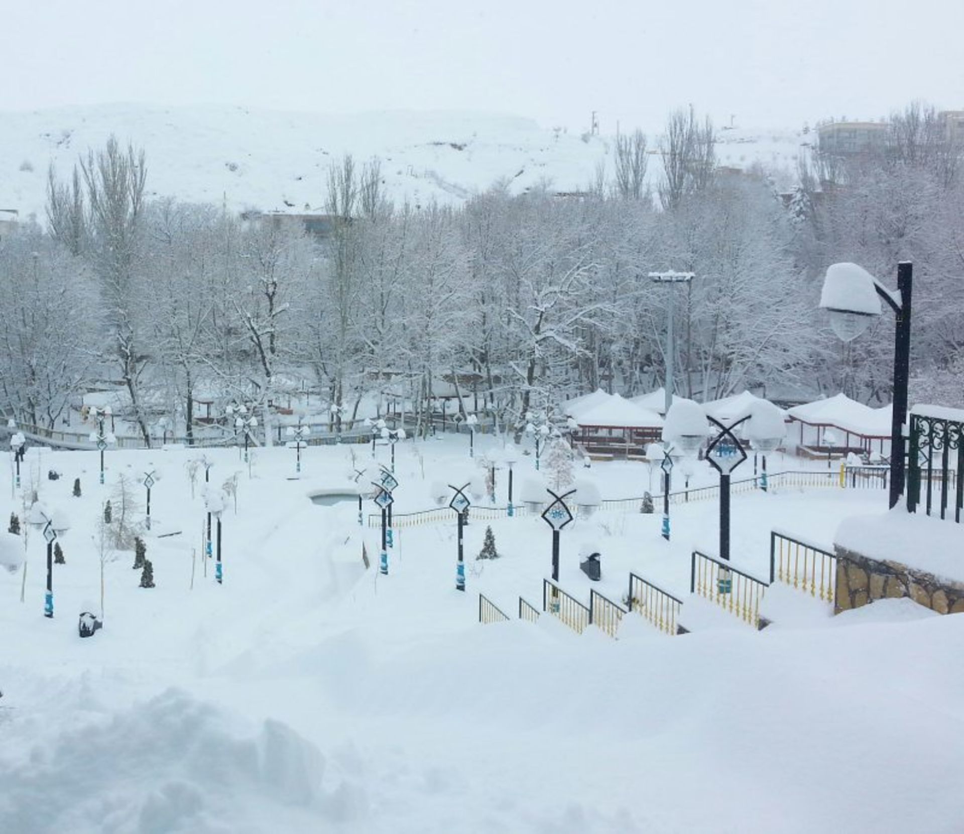 برف در باغ تمشک طرقبه