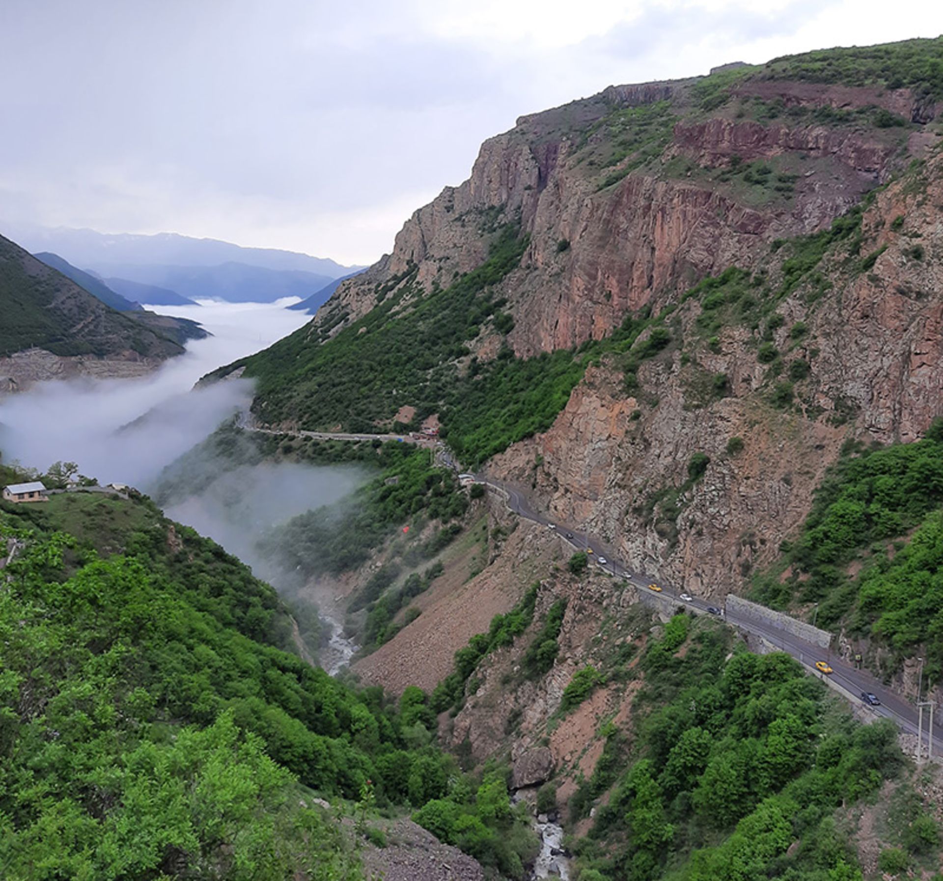 منطقه شکار ممنوع سیاه بیشه در حاشیه جاده چالوس