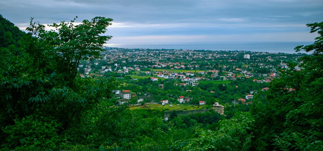 طبیعت سرسبز نوشهر در تابستان