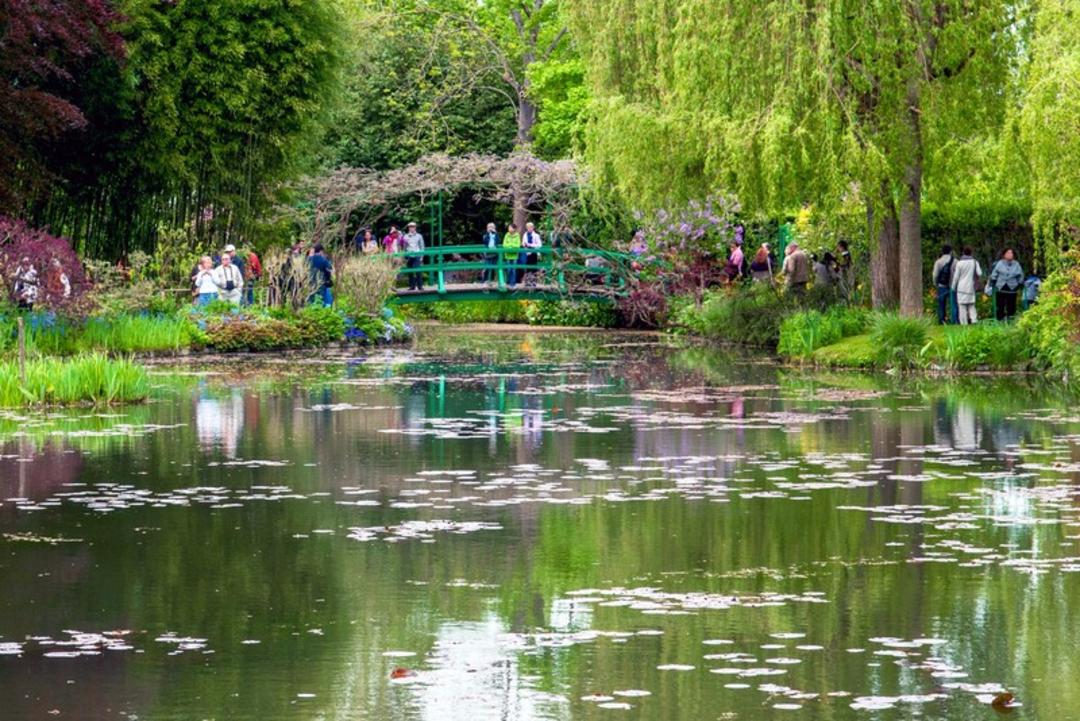 برکه با نیلوفرهای آبی و پل سبز در باغ مونه (Claude Monet) در ژیورنی