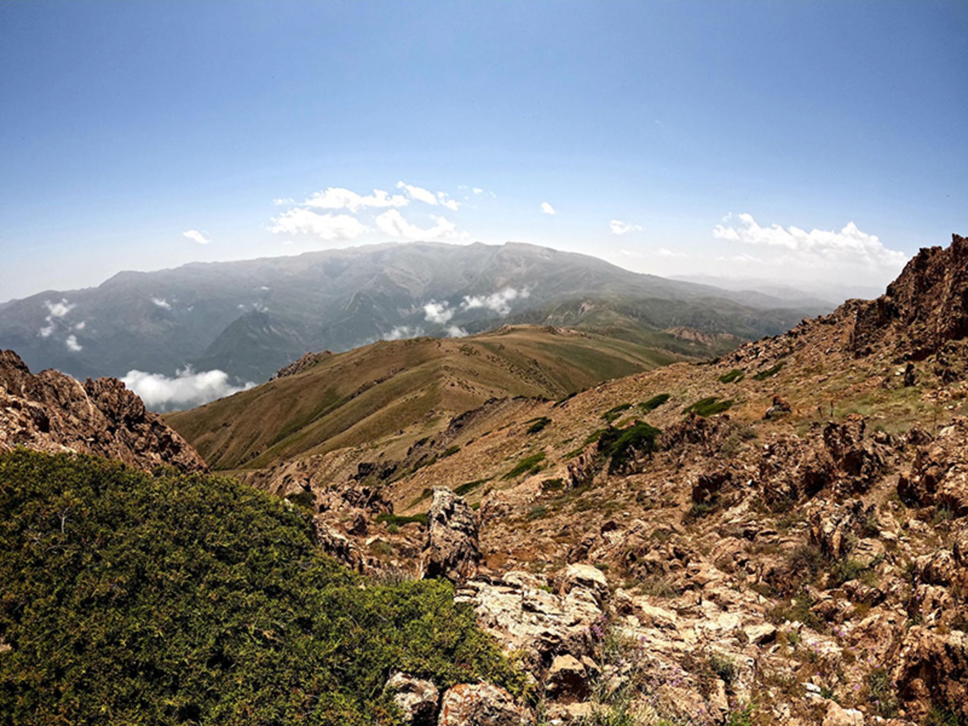 ارتفاعات منطقه شکار ممنوع چلچلی