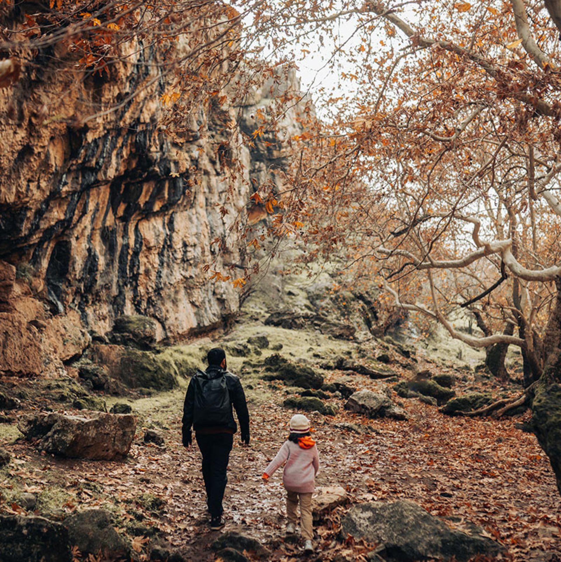 طبیعت زیبای کردستان در فصل پاییز