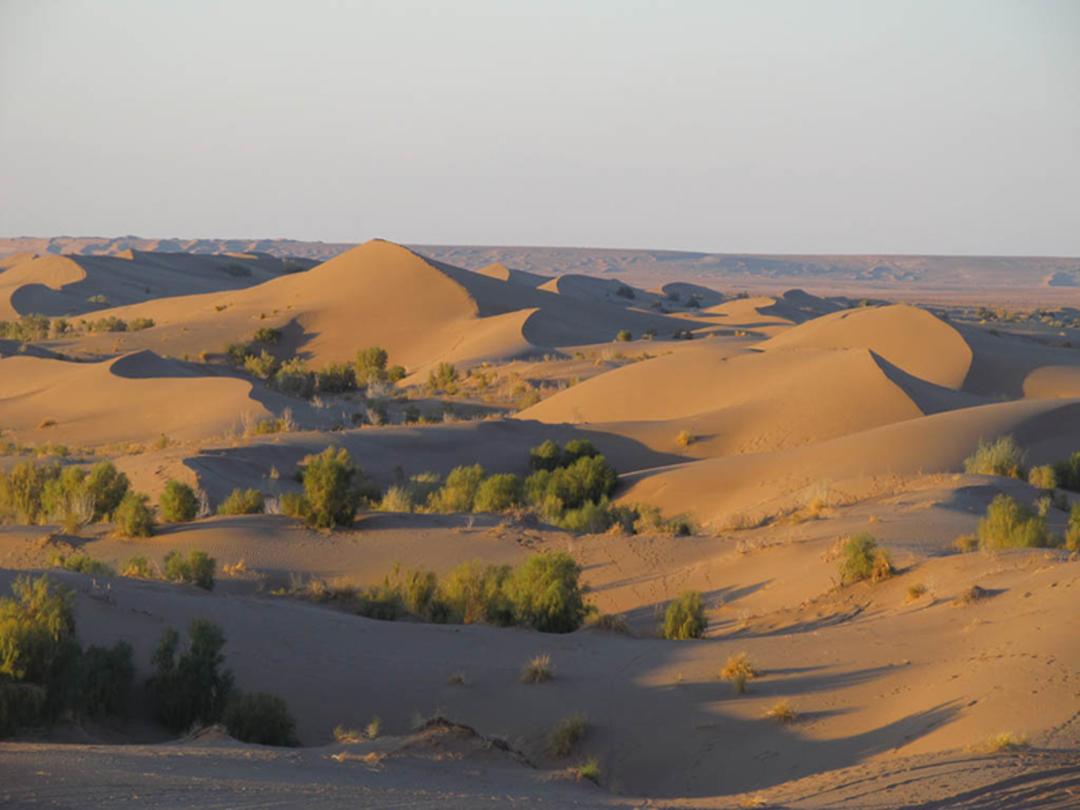 چشم انداز وسعت کویر مصر