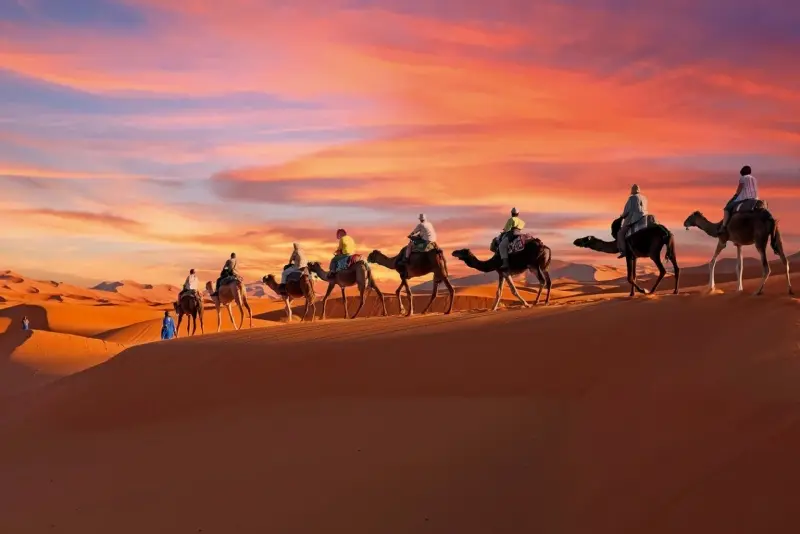 شتر سواری در صحرای بزرگ آفریقا